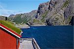 Traditional red fishing rorbu hut with sod roof on Lofoten islands in Norway