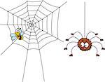 Vector illustration of spider prepare for lunch