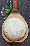 Homemade pizza dough on baker shovel close-up