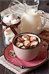 Sweet hot chocolate with marshmallow.