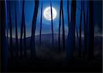 Illustration of a dark forest at full moon