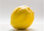 Beautiful photo quince fruit on a white background .