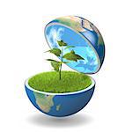 Small plant growing inside opened planet Earth, isolated on white background, concept of ecology, symbol of new life. Elements of this image furnished by NASA