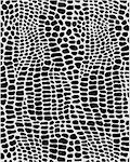 Black and white illustration of skin of alligator