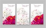 Floral greeting cards with red and white peony flowers