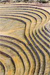 Moray, Incas ruins in the peruvian Andes at Cuzco Peru