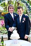 Handsome gay couple cutting the cake at their wedding reception.