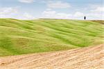 San Quirico d'Orcia, Tuscany, Italy. Classic example of local panorama