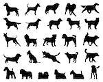 Black silhouettes of dogs, vector