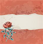 Red vintage background with torn paper and rose
