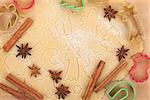 Gingerbread dough for christmas cookies with colorful cookie cutters and spices