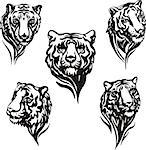 Set of tiger heads. Black and white vector illustrations.