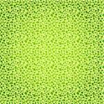 Seamless mix  pattern with translucent green balls (vector eps 10)