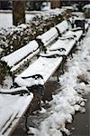 Row of Wooden Benches in City Park covered with Snow