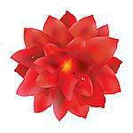 Red Flower With Water Drops, With Gradient Mesh, Vector Illustration