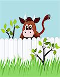 A cow is loocking at the grass on the other side of the fence.