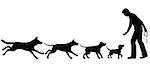 Editable vector silhouettes illustrating the domestication of dog from wolf