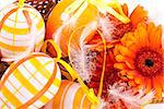Colourful yellow hand decorated traditional Easter eggs with stripes and polka dot patterns arranged with colourful orange Gerbera daisies a decorative ribbon, on white with copyspace