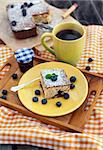 Piece of homemade blueberry coffee cake for breakfast