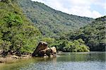 View from the river Urauchi at the tropical japanese island Iriomote