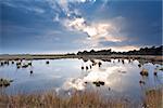 clouded sky before sunset over wild lake, Drenthe, Netherlands