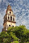 Bell Tower (Torre de Alminar) of the Mezquita Cathedral (The Great Mosque) in Cordoba, Spain, Europe