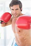 Portrait of a determined male boxer in the gym