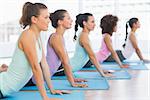 Side view of a fit class doing the cobra pose in a bright fitness studio