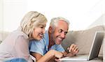 Side view of a happy mature couple using laptop on sofa at home