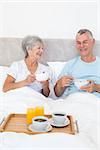 Happy senior couple having breakfast in bed at home