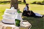 Close-up of wedding cake and champagne with couple relaxing in background at the park