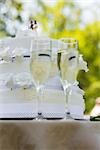 Close-up of wedding cake and champagne flutes at the park