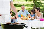 Close-up of barbecue grill with extended family having lunch in the park