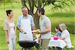 View of an extended family with barbecue in the park