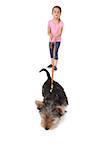 Little girl walking yorkshire terrier pup on a lead on white background