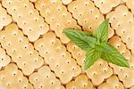 Cookies texture closeup pattern background with mint leaves