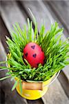 Colorful painted Easter egg on a fresh green grass in yellow bucket