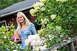 An organic flower plant nursery. A woman working.