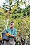 An organic flower plant nursery. A man working, carrying a sapling tree in a pot.