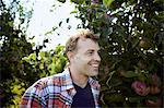 A man in a plaid shirt in an apple tree orchard.