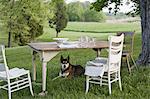 A table laid in a garden, with white china crockery and cutlery. A dog on guard under the table