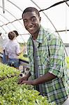 Two young men and a woman working in a large greenhouse, tending and sorting trays of seedlings.