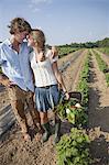 A young couple, girl and boy walking along a row of vegetable plants in a field, holding hands.