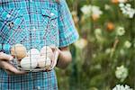 A person holding a basket of freshly laid hen's eggs, of varying colours.