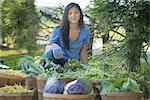 A young woman in a field of produce, a market garden of fresh vegetables, holding a basket of fresh produce.