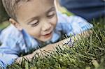 A boy lying on his elbows on the grass examining a butterfly.