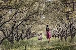 Two children and an older girl walking in a woodland tunnel of overarching tree branches.