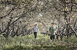 Two children and an adult walking in a woodland tunnel of overarching tree branches.