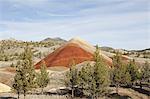 Volcanic geologic rock formation and forest