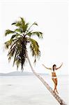 A woman balancing on a leaning palm tree in Las Galeras, Samana Peninsula, Dominican Republic.